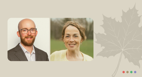 Insights and Analytics - Website Feature