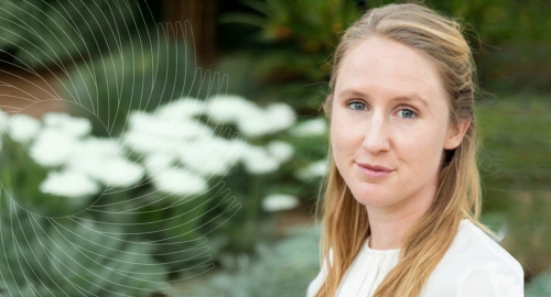 Welcome_Rose_featureimage